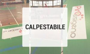 Calpestabile PVC